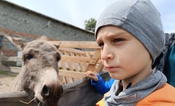 &bdquo;Alpakowy Zawr&oacute;t głowy&rdquo; w Zbyczynie