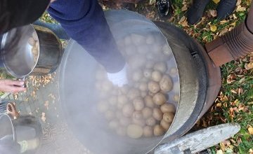Dzień Ziemniaka