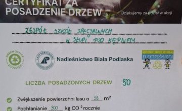Akcja sadzenia drzew