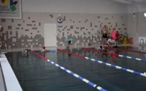 Zawody pływackie w ZSS (25)
