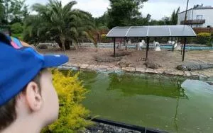 Wycieczka do ZOO w Borysewie (2)