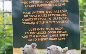 Wycieczka do ZOO w Borysewie (11)