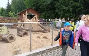 Wycieczka do ZOO w Borysewie (13)
