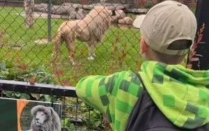 Wycieczka do ZOO w Borysewie (20)