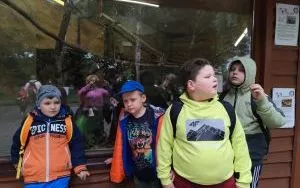 Wycieczka do ZOO w Borysewie (1)