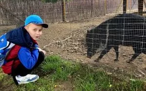 Wycieczka do ZOO w Borysewie (6)