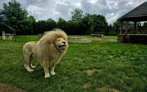 Wycieczka do ZOO w Borysewie (9)