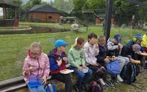 Wycieczka do ZOO w Borysewie (11)