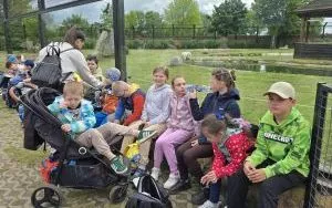 Wycieczka do ZOO w Borysewie (12)