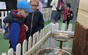 Wycieczka do ZOO w Borysewie (16)