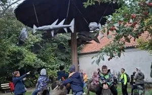 X Og&oacute;lnopolski Dzień Młodych Sportowc&oacute;w (10)