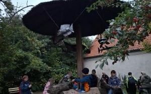 X Og&oacute;lnopolski Dzień Młodych Sportowc&oacute;w (11)