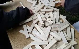 X Og&oacute;lnopolski Dzień Młodych Sportowc&oacute;w (14)