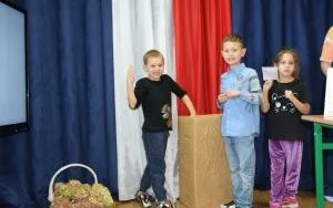 Wybory do SU 2026 (3)