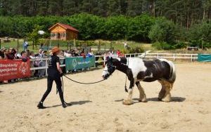 Olimpiada Specjalna / Dzień Rodziny (13)