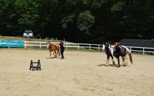 Olimpiada Specjalna / Dzień Rodziny (18)