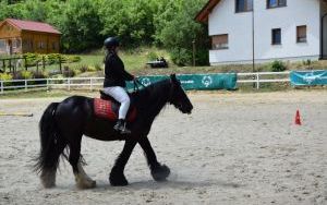 Olimpiada Specjalna / Dzień Rodziny (19)
