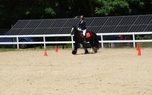 Olimpiada Specjalna / Dzień Rodziny (3)